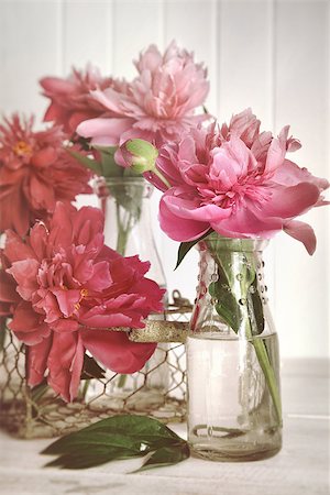 peony art - Pink peonies in milk bottles Stock Photo - Budget Royalty-Free & Subscription, Code: 400-07418210