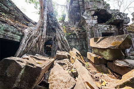 simsearch:400-04794378,k - Ta Prohm temple with giant banyan tree at Angkor Wat complex, Siem Reap, Cambodia. Photographie de stock - Aubaine LD & Abonnement, Code: 400-07418254