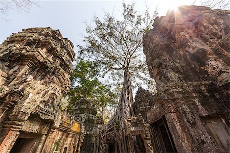 simsearch:400-05690451,k - Ta Prohm temple with giant banyan tree at Angkor Wat complex, Siem Reap, Cambodia. Stockbilder - Microstock & Abonnement, Bildnummer: 400-07418252