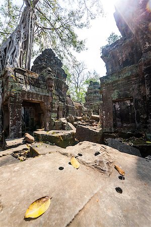 simsearch:400-05690451,k - Ta Prohm temple with giant banyan tree at Angkor Wat complex, Siem Reap, Cambodia. Stockbilder - Microstock & Abonnement, Bildnummer: 400-07418253