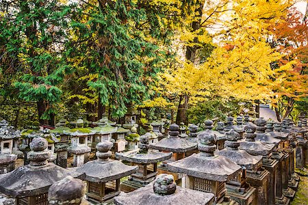 simsearch:400-04794378,k - Nara, Japan. Japanese lanterns at Kasuga-taisha Shrine. Photographie de stock - Aubaine LD & Abonnement, Code: 400-07419174