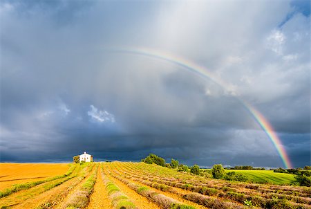 chapel with lavender field and rainbow, Plateau de Valensole, Provence, France Stock Photo - Budget Royalty-Free & Subscription, Code: 400-07419541
