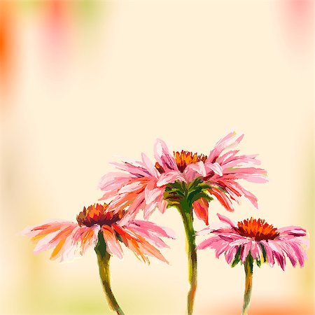 echinacea - Oil painting. Echinacea. Greeting Card. Fotografie stock - Microstock e Abbonamento, Codice: 400-07410181