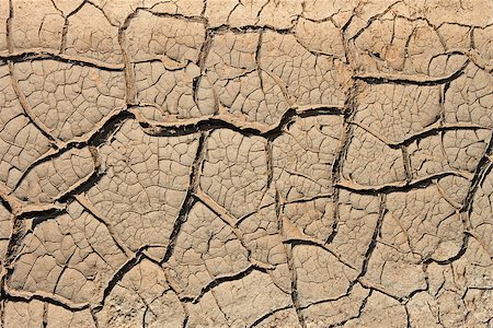 simsearch:400-04304444,k - Many cracks in the dried soil in arid season as a texture Stock Photo - Budget Royalty-Free & Subscription, Code: 400-07410616