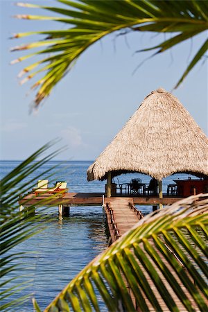 beautiful relaxing beach in a tropical calm  part of Belize Foto de stock - Super Valor sin royalties y Suscripción, Código: 400-07411056