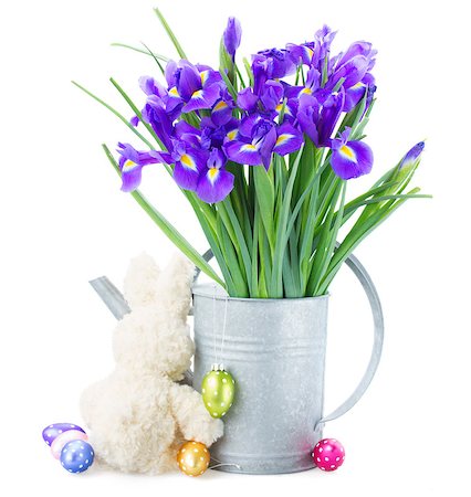 easter eggs in a dark color - bunch of blue  irise flowers in watering can   with easter eggs and bunny   isolated on white background Stock Photo - Budget Royalty-Free & Subscription, Code: 400-07411678