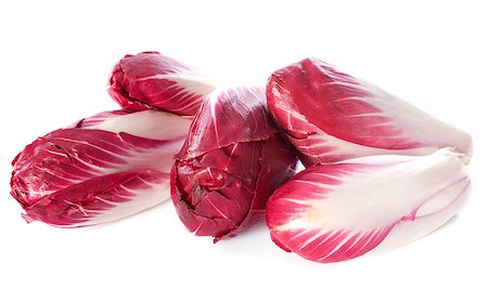 chicory carmine in front of white background Stockbilder - Microstock & Abonnement, Bildnummer: 400-07413185