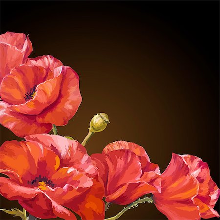 simsearch:400-07421243,k - Oil painting. Card with poppies flowers on darck background. Stock Photo - Budget Royalty-Free & Subscription, Code: 400-07425525