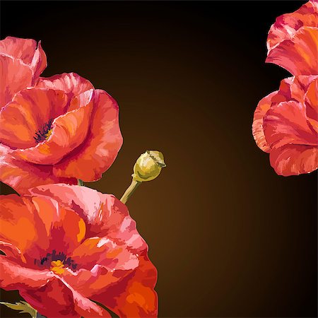 simsearch:400-07421243,k - Oil painting. Card with poppies flowers on darck background. Stock Photo - Budget Royalty-Free & Subscription, Code: 400-07425526