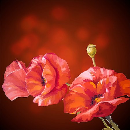 Card with poppies flowers on dark background. Foto de stock - Super Valor sin royalties y Suscripción, Código: 400-07425527