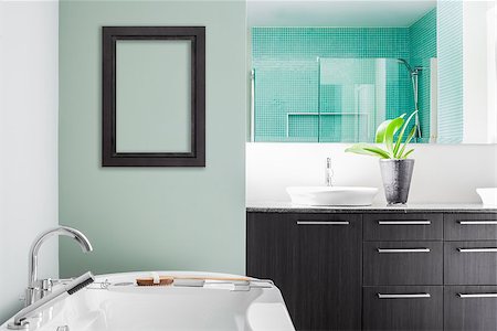 Modern Bathroom with blank wall for your test, image or logo. Soft Green Pastel Colors Photographie de stock - Aubaine LD & Abonnement, Code: 400-07426724