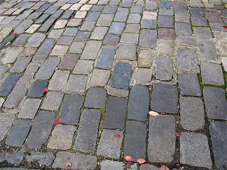 Original cobblestoned road in Hove mews. Stock Photo - Budget Royalty-Free & Subscription, Code: 400-07426850