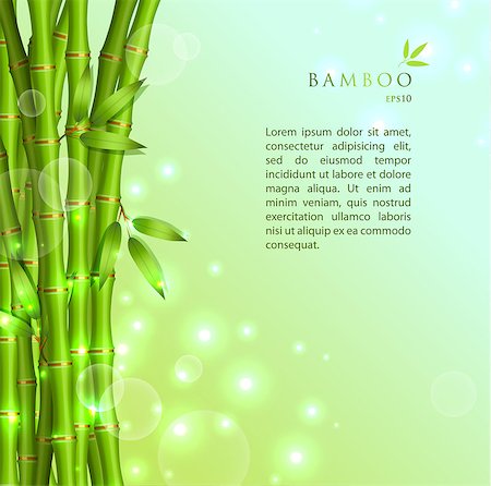 simsearch:400-07035863,k - Vector illustration of Background with green bamboo eps 10 Stockbilder - Microstock & Abonnement, Bildnummer: 400-07427392