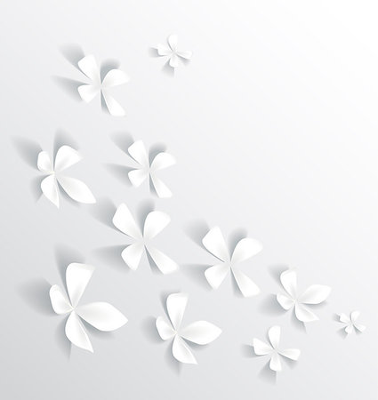 Gray background with white flowers Stock Photo - Budget Royalty-Free & Subscription, Code: 400-07427589