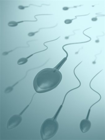 simsearch:400-08409196,k - A lot of sperms going to the ovule. Image concept of fecundation. Stock Photo - Budget Royalty-Free & Subscription, Code: 400-07427629