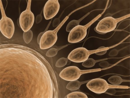 procreating - A lot of sperms going to the ovule. Image concept of fecundation. Stock Photo - Budget Royalty-Free & Subscription, Code: 400-07427622