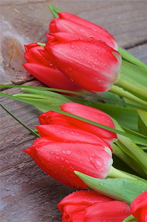 simsearch:400-08011304,k - Beauty Spring Tulips with Green Grass and Water Drops closeup on Wooden background Stock Photo - Budget Royalty-Free & Subscription, Code: 400-07427709