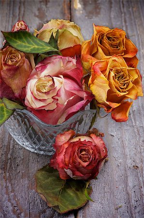 simsearch:400-05947571,k - Bunch of Colorful Withered Roses in Glass Vase isolated on Rustic Wooden background Stock Photo - Budget Royalty-Free & Subscription, Code: 400-07427710