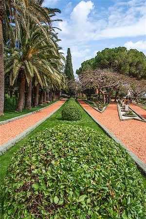 fragment of famous Bahai gardens in Haifa, Israel Stockbilder - Microstock & Abonnement, Bildnummer: 400-07428429