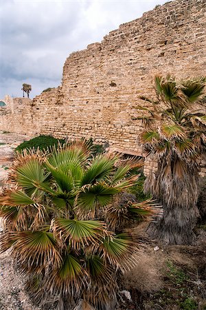 simsearch:400-04477944,k - Ruins of the ancient Romanian harbor, Caesarea, Israel . Stockbilder - Microstock & Abonnement, Bildnummer: 400-07428443