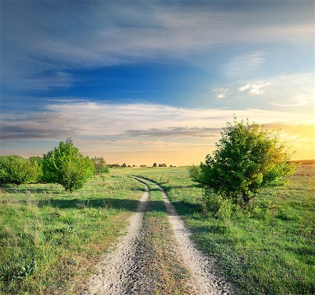 simsearch:400-06867510,k - Country road and trees in the field at sunrise Stock Photo - Budget Royalty-Free & Subscription, Code: 400-07429842