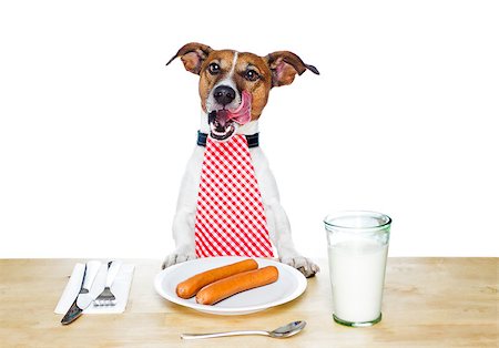 silverware dog - dinner meal at table dog Stock Photo - Budget Royalty-Free & Subscription, Code: 400-07420842