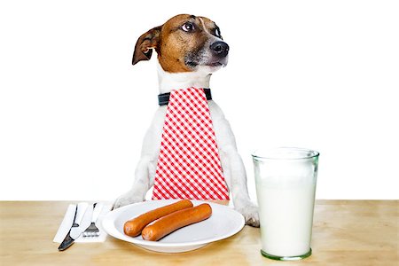 silverware dog - dinner meal at table dog Stock Photo - Budget Royalty-Free & Subscription, Code: 400-07420843