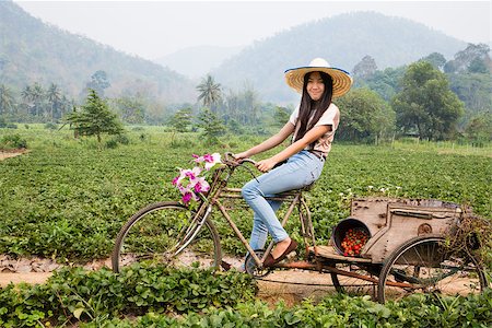 fruit farm in thailand - Thai girl on an old bycicle on the strawberry field. Northern Thailand. Foto de stock - Super Valor sin royalties y Suscripción, Código: 400-07421057