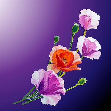 simsearch:400-07421243,k - Oil painting. Card with poppies flowers on dark background. Stock Photo - Budget Royalty-Free & Subscription, Code: 400-07421226