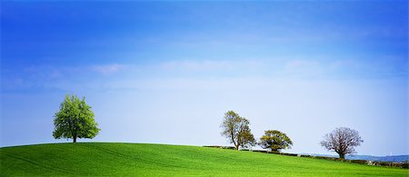 Spring panorama Stock Photo - Budget Royalty-Free & Subscription, Code: 400-07421220
