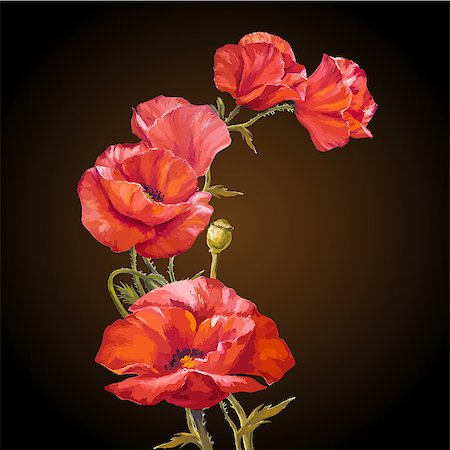Oil painting. Card with poppies flowers on darck background. Stock Photo - Budget Royalty-Free & Subscription, Code: 400-07421243
