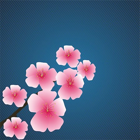 simsearch:400-07421243,k - colorful illustration with pink flowers for your design Stock Photo - Budget Royalty-Free & Subscription, Code: 400-07422006