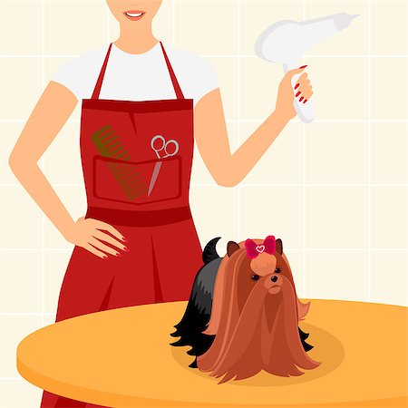 simsearch:400-07426558,k - Beautiful yorkshire terrier is sitting on the table with a hairdresser Stock Photo - Budget Royalty-Free & Subscription, Code: 400-07423305