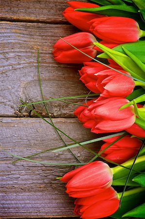 simsearch:400-08011307,k - Border of Beautiful Spring Red Tulips with Green Grass isolated on Rustic Wooden background Stock Photo - Budget Royalty-Free & Subscription, Code: 400-07423345