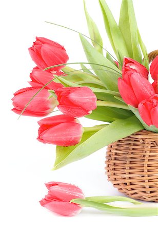 simsearch:400-08011304,k - Bouquet of Spring Magenta Tulips with Green Grass and Droplets in Wicker Basket isolated on white background Stock Photo - Budget Royalty-Free & Subscription, Code: 400-07423342