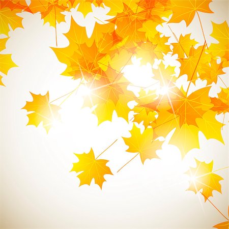 autumn background Stock Photo - Budget Royalty-Free & Subscription, Code: 400-07423677