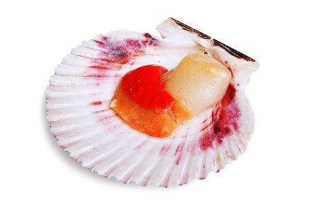 simsearch:400-04406446,k - Fresh opened scallop shell isolated on white background Stock Photo - Budget Royalty-Free & Subscription, Code: 400-07430105