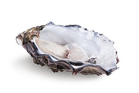 simsearch:400-08917245,k - Fresh opened oyster isolated on white background Photographie de stock - Aubaine LD & Abonnement, Code: 400-07430103