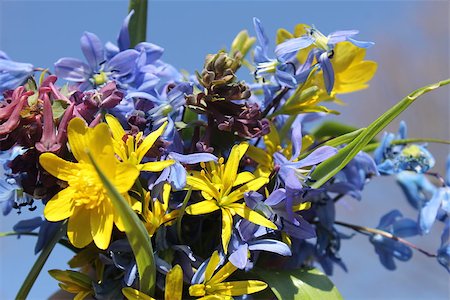 The first spring flowers bouquet Stockbilder - Microstock & Abonnement, Bildnummer: 400-07430582