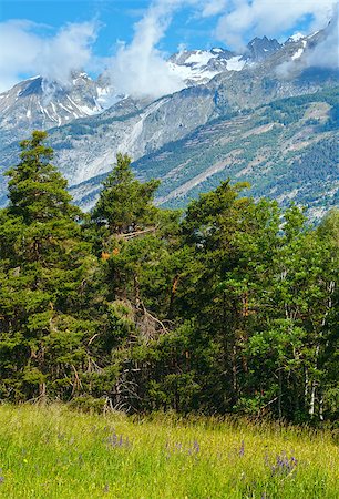 Summer mountain landscape with purple wild flowers on slope (Alps, Switzerland) Stock Photo - Budget Royalty-Free & Subscription, Code: 400-07430625