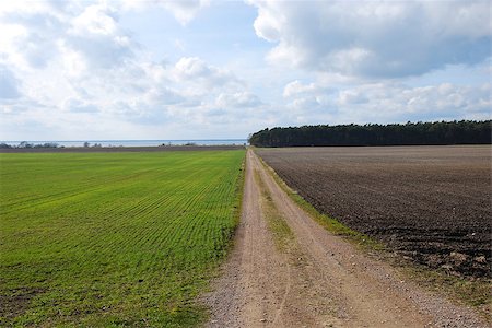 Springtime at a rural landscape with a dirt road. From the swedish island Oland. Foto de stock - Super Valor sin royalties y Suscripción, Código: 400-07430855