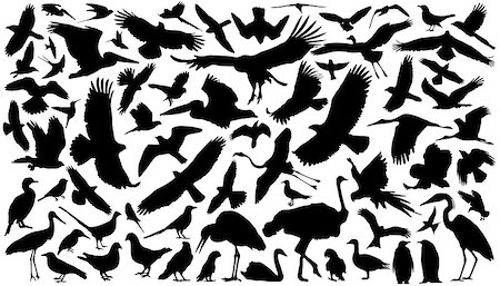 birds silhouettes on the white background Photographie de stock - Aubaine LD & Abonnement, Code: 400-07445647