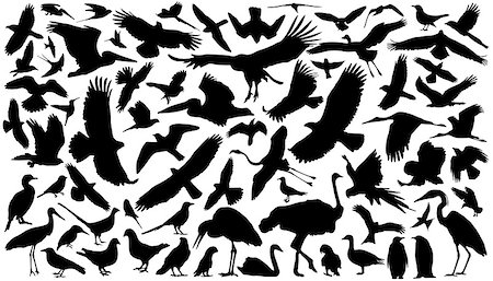 dove silhouette vector - birds silhouettes on the white background Stock Photo - Budget Royalty-Free & Subscription, Code: 400-07445647