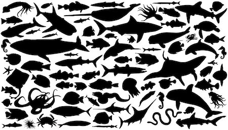 equinoideos - sea animals silhouettes on the white background Foto de stock - Super Valor sin royalties y Suscripción, Código: 400-07445653