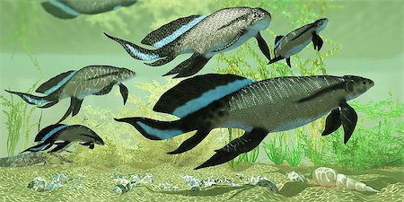 simsearch:400-04697365,k - Scuamenacia is an extinct lobe-finned fish from Quebec, Canada in the Upper Devonian Era. Foto de stock - Super Valor sin royalties y Suscripción, Código: 400-07446281