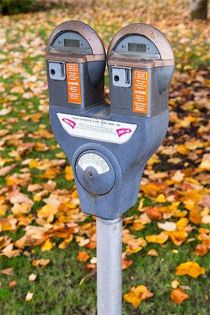 A dual parking meter downtown by the park Stock Photo - Budget Royalty-Free & Subscription, Code: 400-07446315