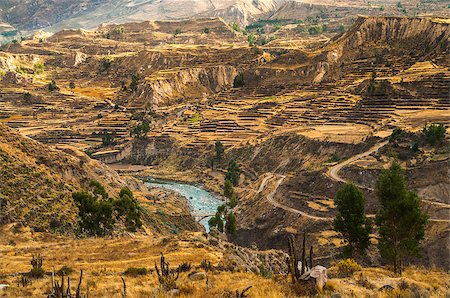 Colca Canyon view from hiking path in Chivay, near Arequipa, Peru Stockbilder - Microstock & Abonnement, Bildnummer: 400-07449525