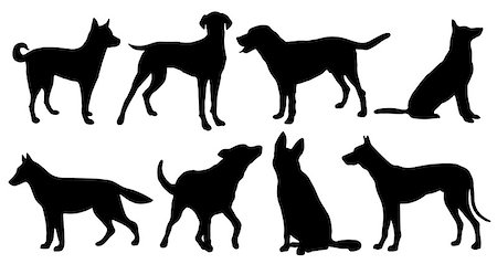 retriever silhouette - dog silhouettes on the white background Stock Photo - Budget Royalty-Free & Subscription, Code: 400-07450830