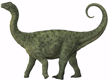 simsearch:400-07039388,k - Saltasaurus was a sauropod dinosaur of the Cretaceous Period of Argentina. Stockbilder - Microstock & Abonnement, Bildnummer: 400-07450875
