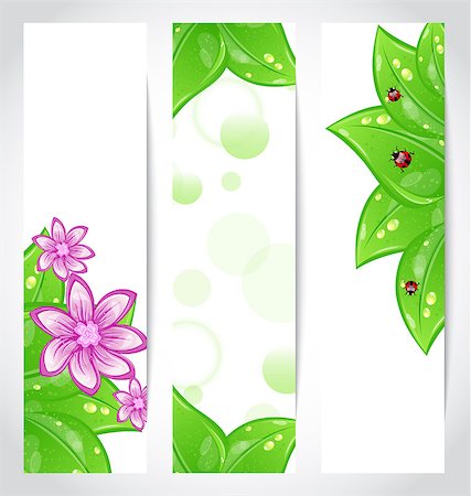 simsearch:400-07464142,k - Illustration set of bio concept design eco friendly banners - vector Foto de stock - Super Valor sin royalties y Suscripción, Código: 400-07464187